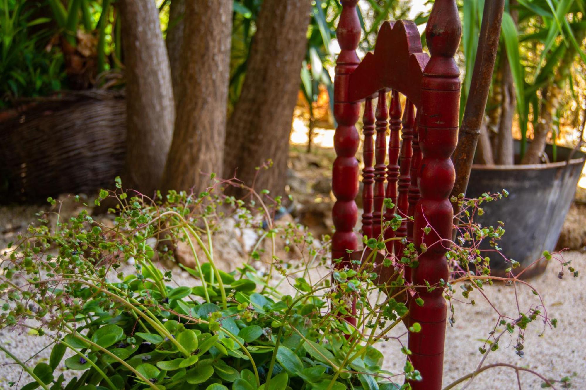 Alojamiento Rural Las Acacias 卡夫拉 外观 照片